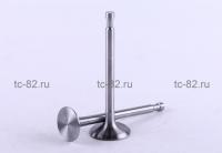 Клапаны (пара голые) м/б   180N   (9Hp)   "ТАТА"