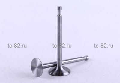 Клапаны (пара голые) м/б   180N   (9Hp)   "ТАТА"