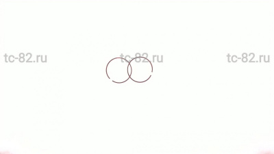 Кольца   Yamaha AXIS 100/BW'S 100   0,25   (Ø52,25)   "SUNY"   (mod.A)